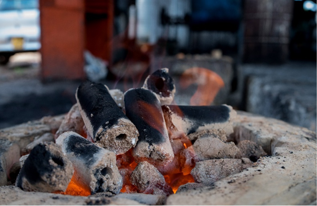 Biodegradable Waste Resources: An Alternative to Charcoal Briquettes