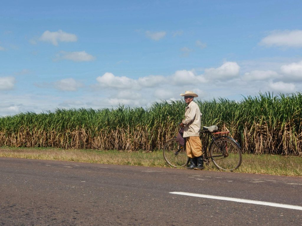 From Farms to Factories: Africa’s Agricultural Renaissance